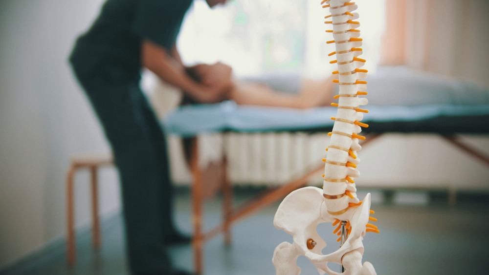 What to Ask Before Choosing a Chiropractor: A Complete Decision-Making Guide